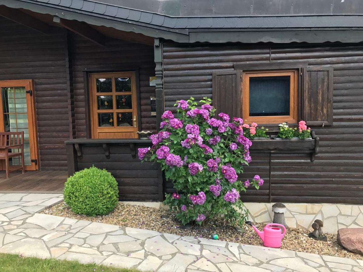 Holzhaus Harz Villa Schielo Bagian luar foto
